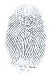 Example fingerprint for jewellery