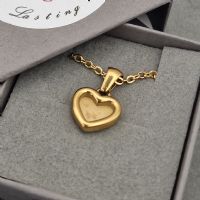 18ct Gold PVD Heart memory necklace with ashes