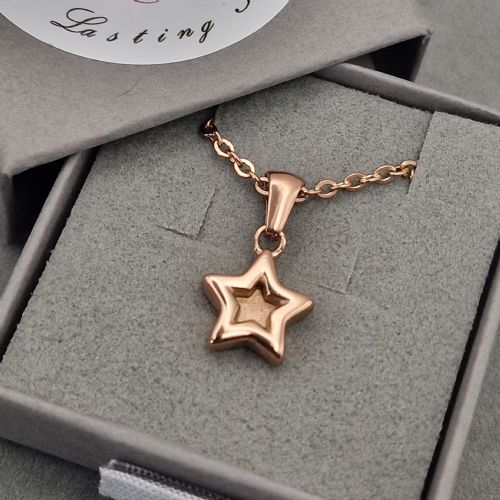 18ct Rose Gold PVD star memory necklace with ashes