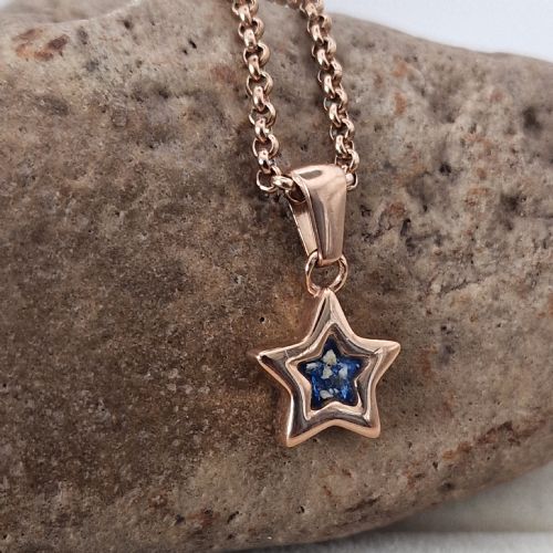 18ct Rose Gold PVD star memory necklace with ashes