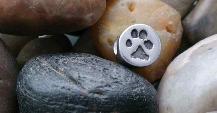 Paw print Circle Bead (fits pandora)